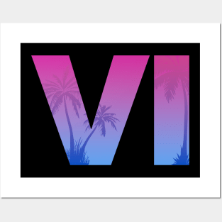 VI Posters and Art